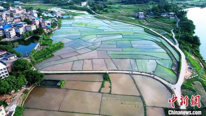 Summer scenery of countryside in S China’s Guangxi