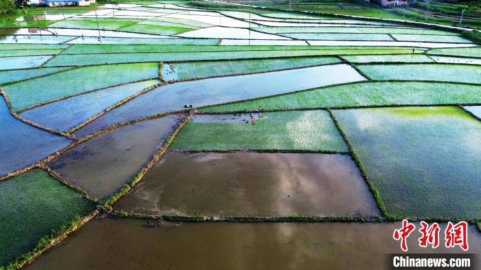 Summer scenery of countryside in S China’s Guangxi