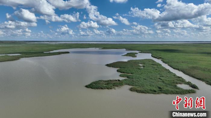 Birds rest at wetland in N China’s Inner Mongolia