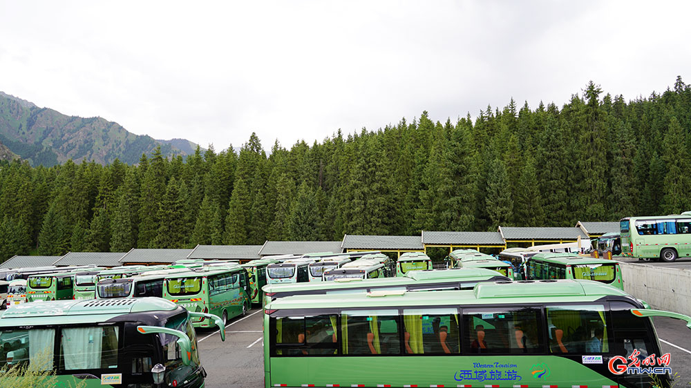 Tianchi Scenic Area attracts visitors in NW China's Xinjiang