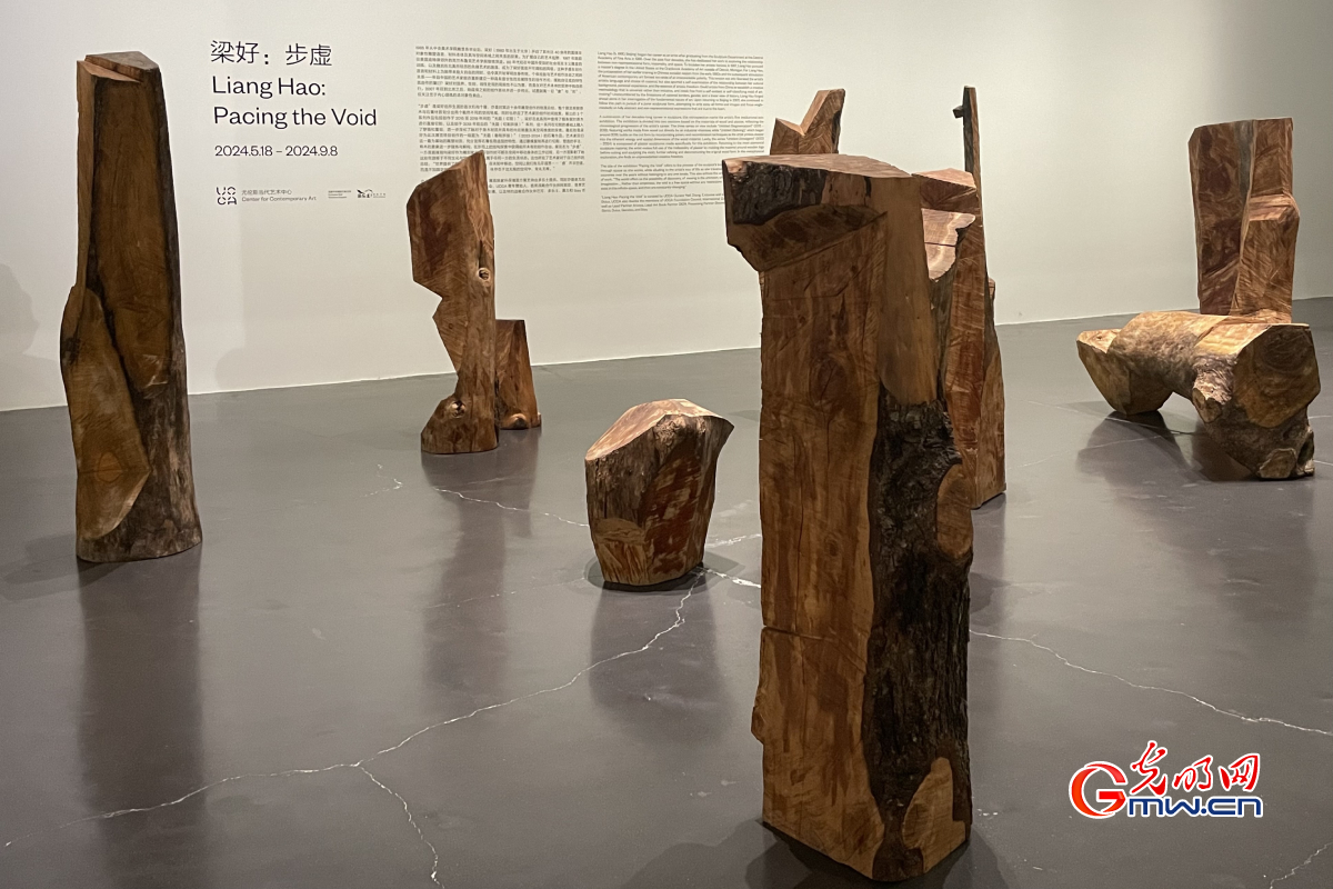 Creative sculpture exhibition deconstructing wood, plaster form