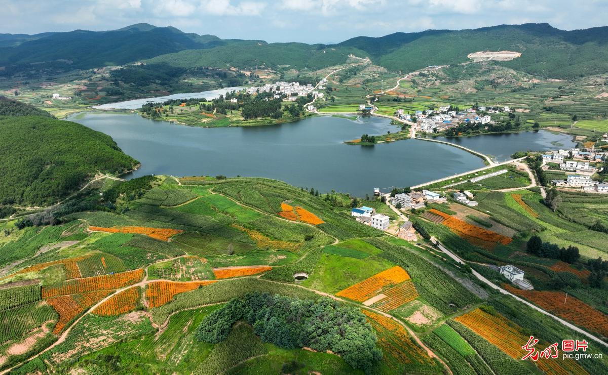 In pics: Meihua Reservoir in SW China's Yunnan