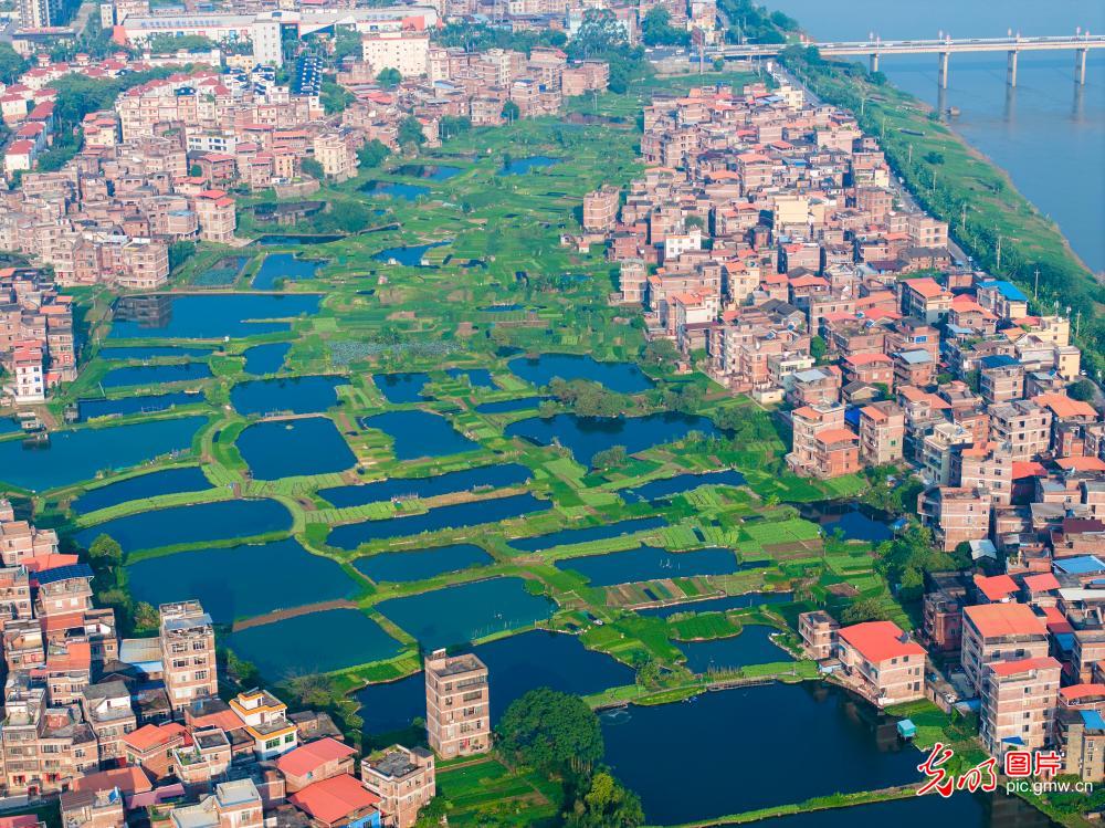 Ariel view of eco-friendly production base in S China’s Guangxi