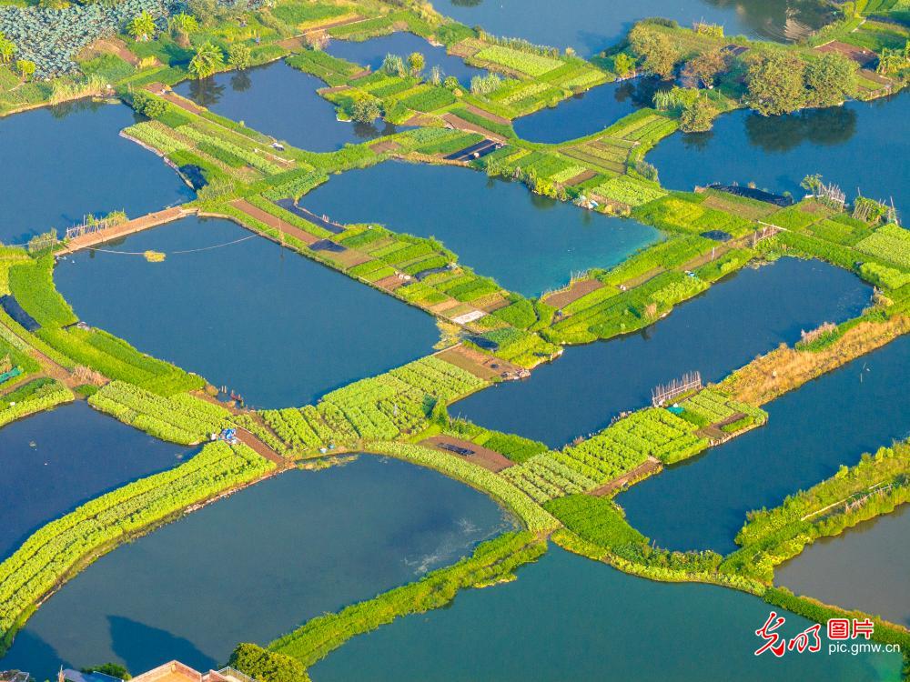 Ariel view of eco-friendly production base in S China’s Guangxi