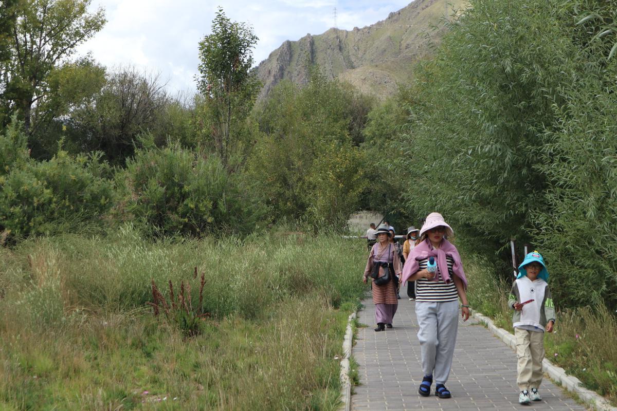 Lhalu Wetland sees major ecological improvements