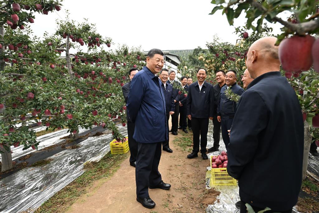 Xi makes inspections in NW China's Shaanxi, Gansu provinces