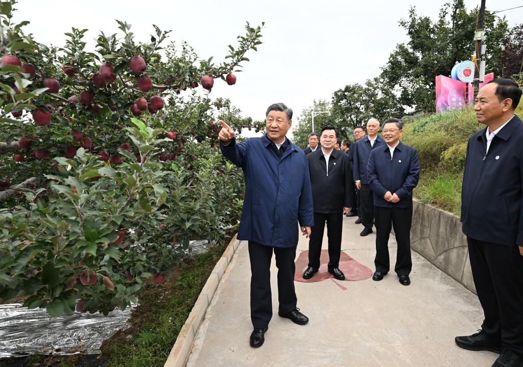 Xi makes inspections in NW China's Shaanxi, Gansu provinces