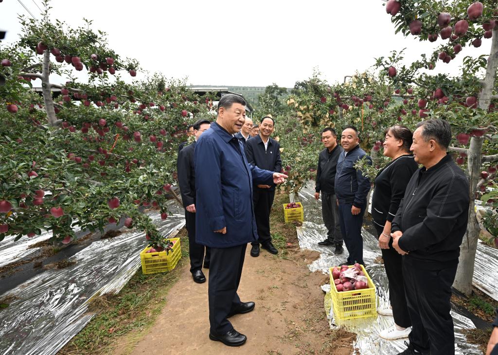 Xi makes inspections in NW China's Shaanxi, Gansu provinces