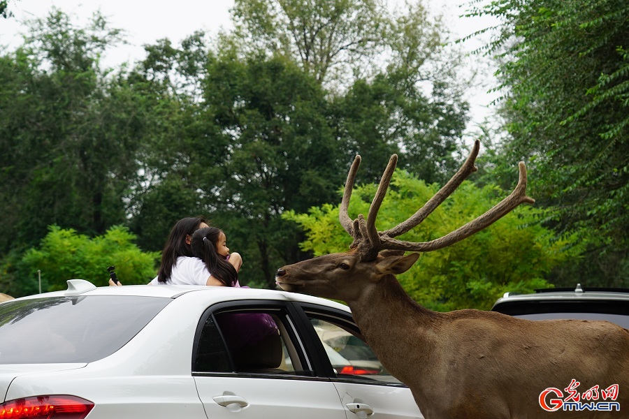 In pics: Diverse wildlife species in Beijing Wildlife Park