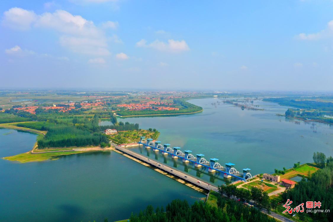 Early autumn scenery in E China's Shandong