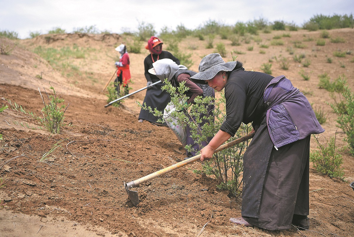 Yellow River Basin on course for greener future