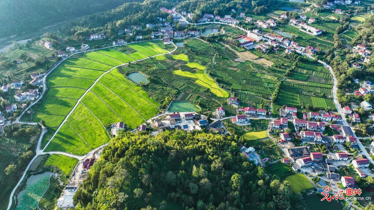 Rural scenery in E China’s Jiangsu