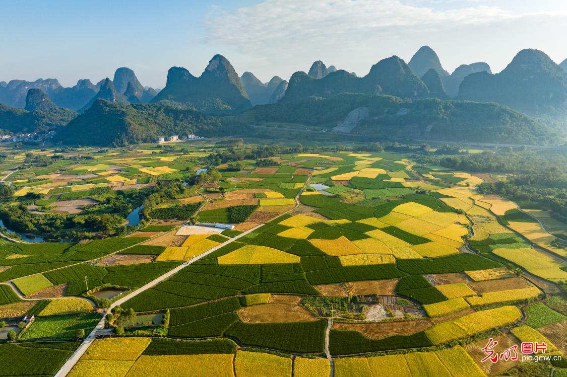 Rural autumn scenery in S China’s Guangxi