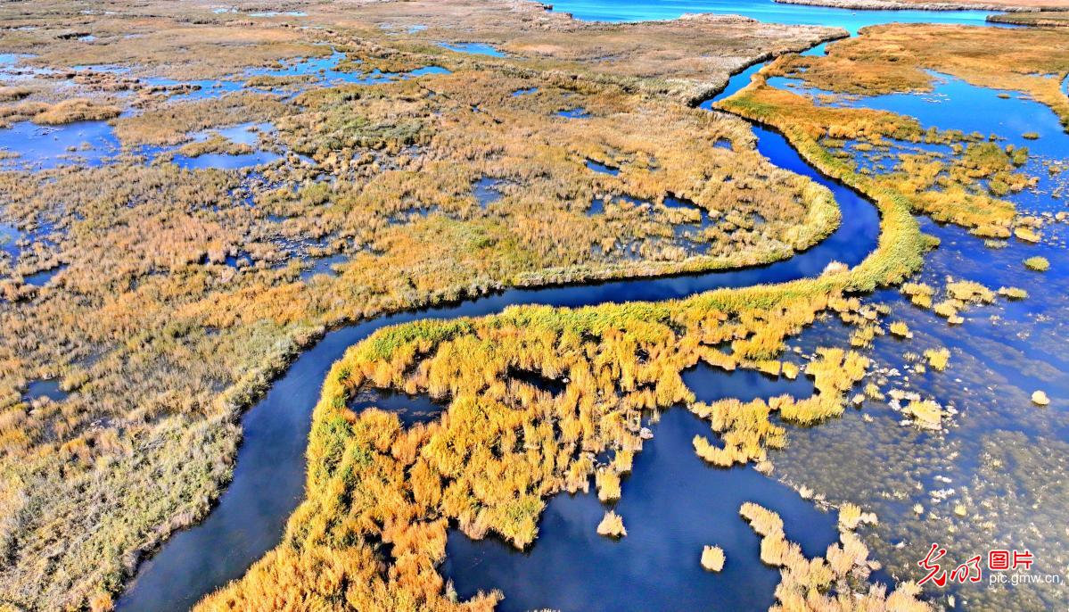 Autumn scenery of Bosten Lake, Xinjiang