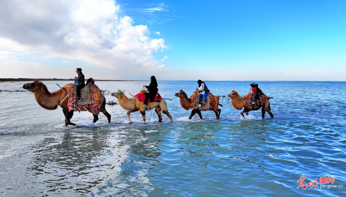 Autumn scenery of Bosten Lake, Xinjiang