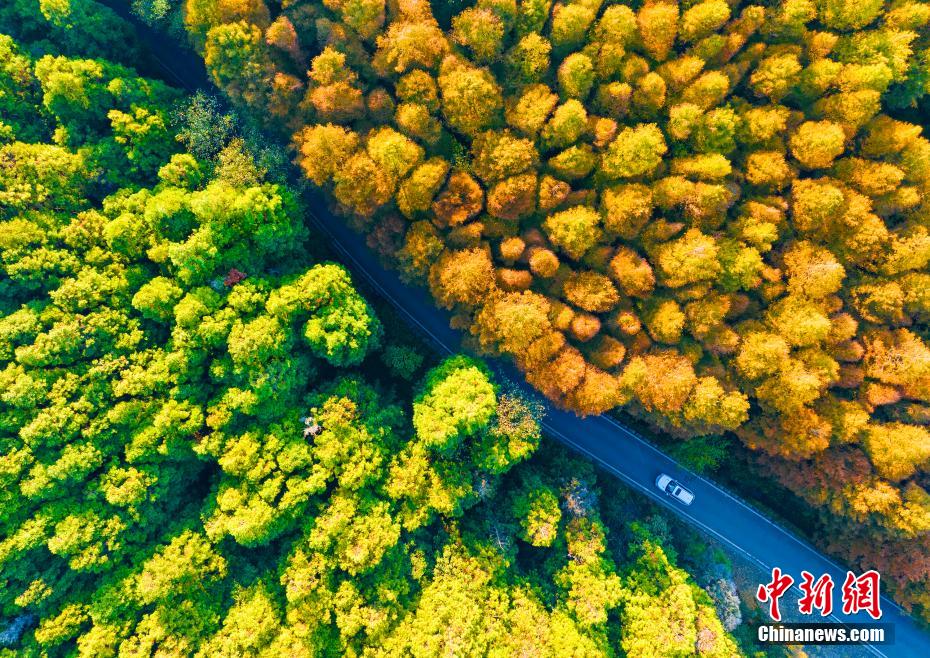 Picturesque autumn scenery of karst national ecopark in SW China’s Chongqing