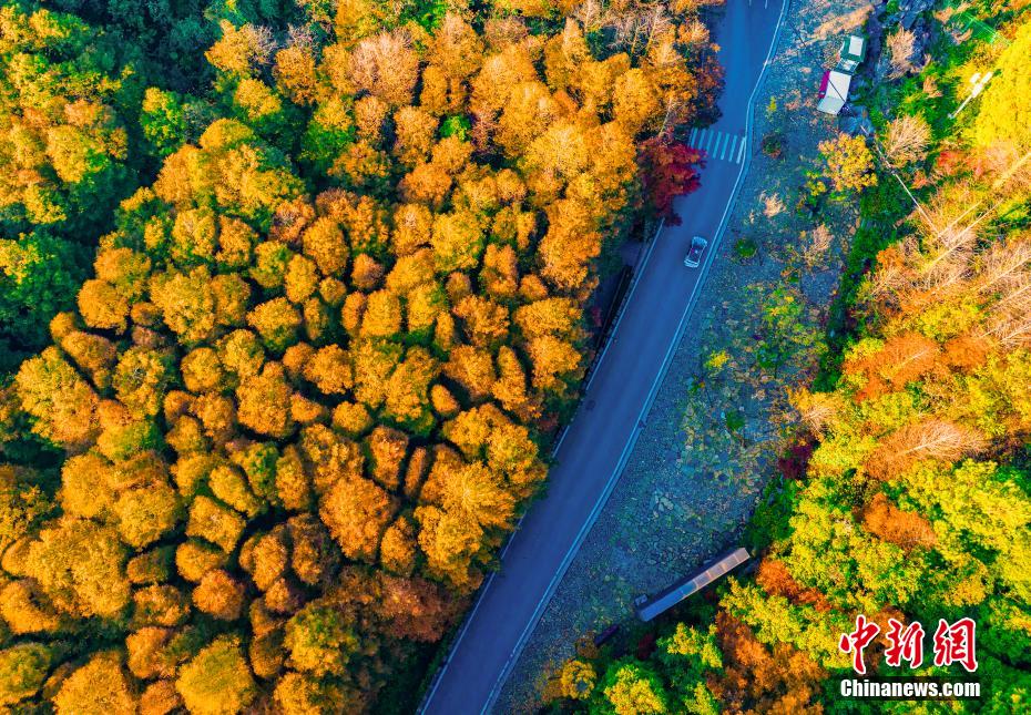 Picturesque autumn scenery of karst national ecopark in SW China’s Chongqing