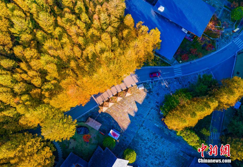 Picturesque autumn scenery of karst national ecopark in SW China’s Chongqing