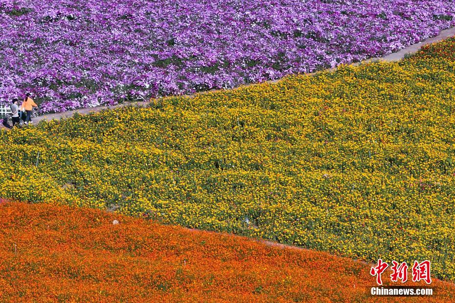 Autumn scenery of Baima Lake in E China’s Jiangsu