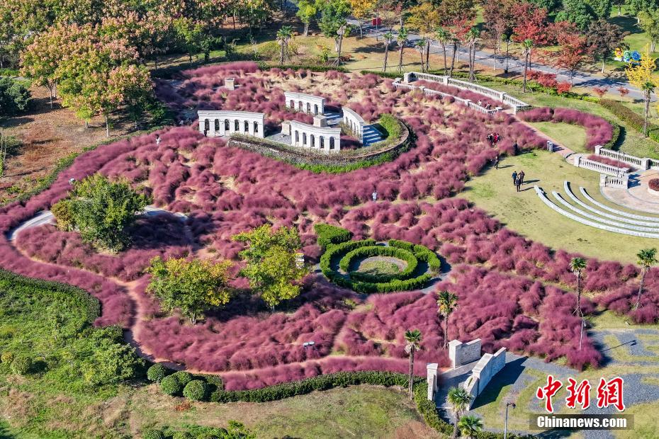 Autumn scenery of Baima Lake in E China’s Jiangsu