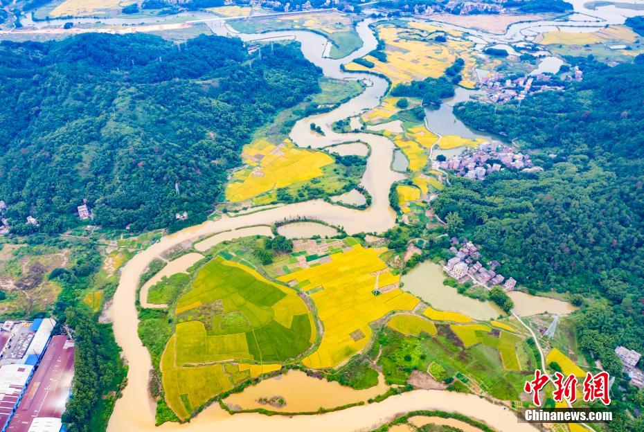 Aerial view of village in S China’s Guangxi