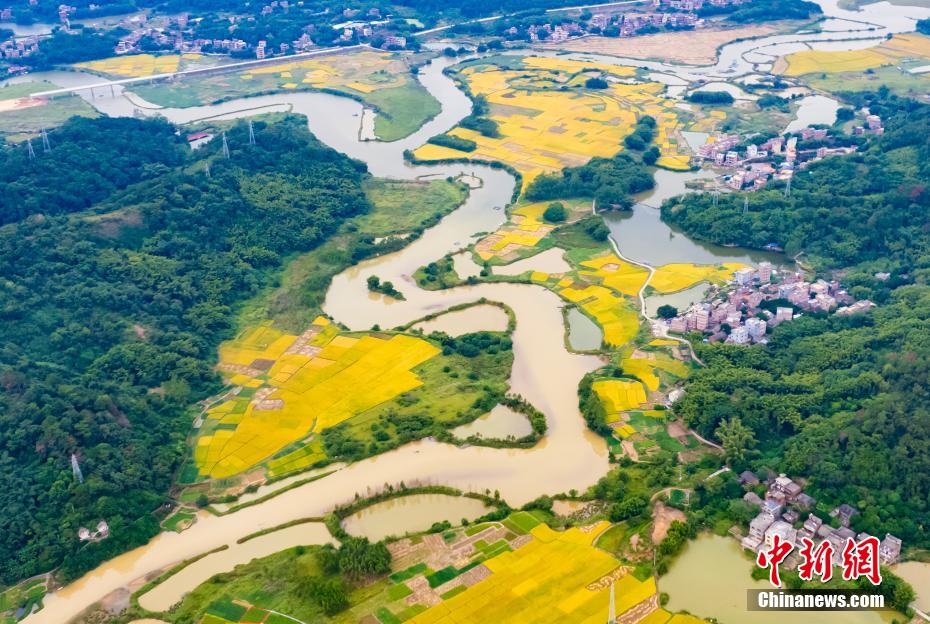 Aerial view of village in S China’s Guangxi