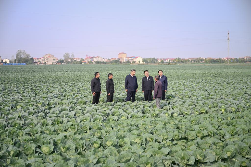 Xi inspects central China's Hubei Province