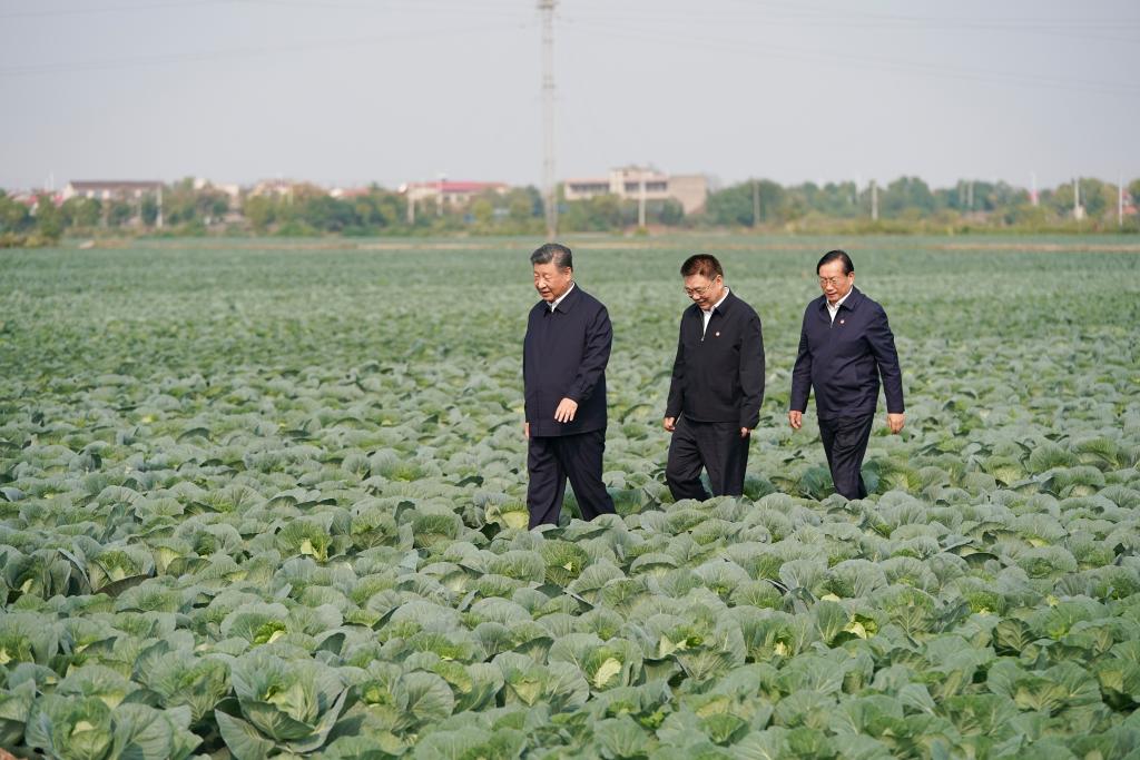 Xi inspects central China's Hubei Province