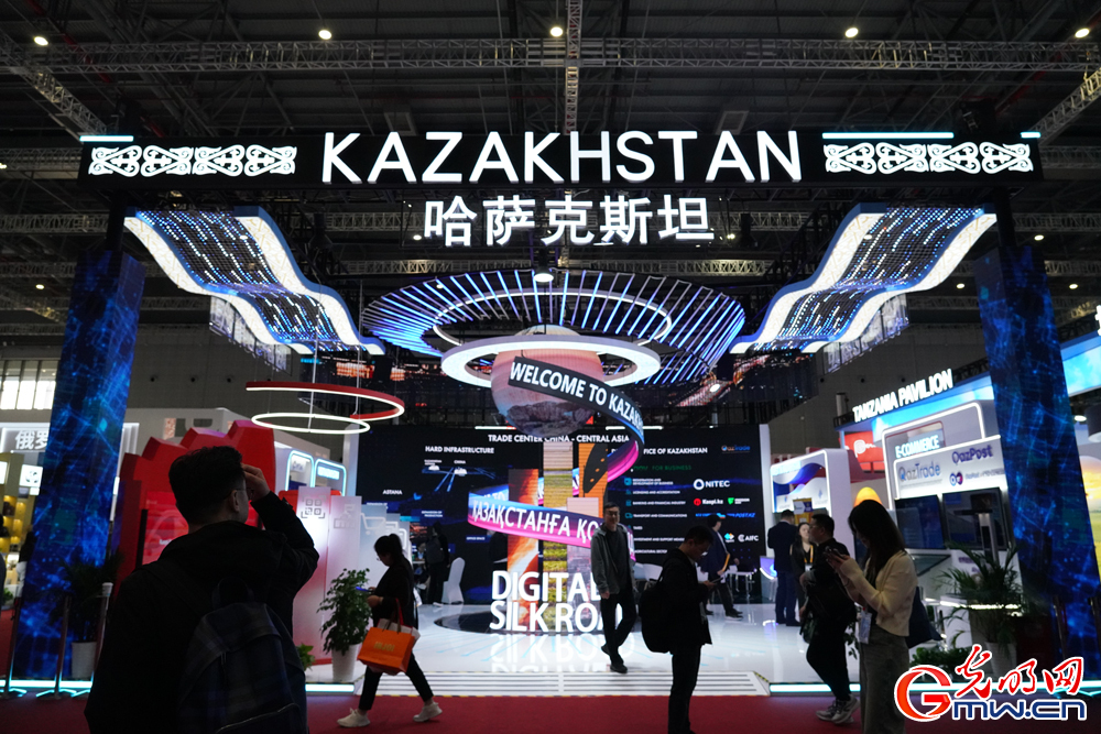 Country exhibition area attracts visitors' attention at 7th CIIE in E China's Shanghai