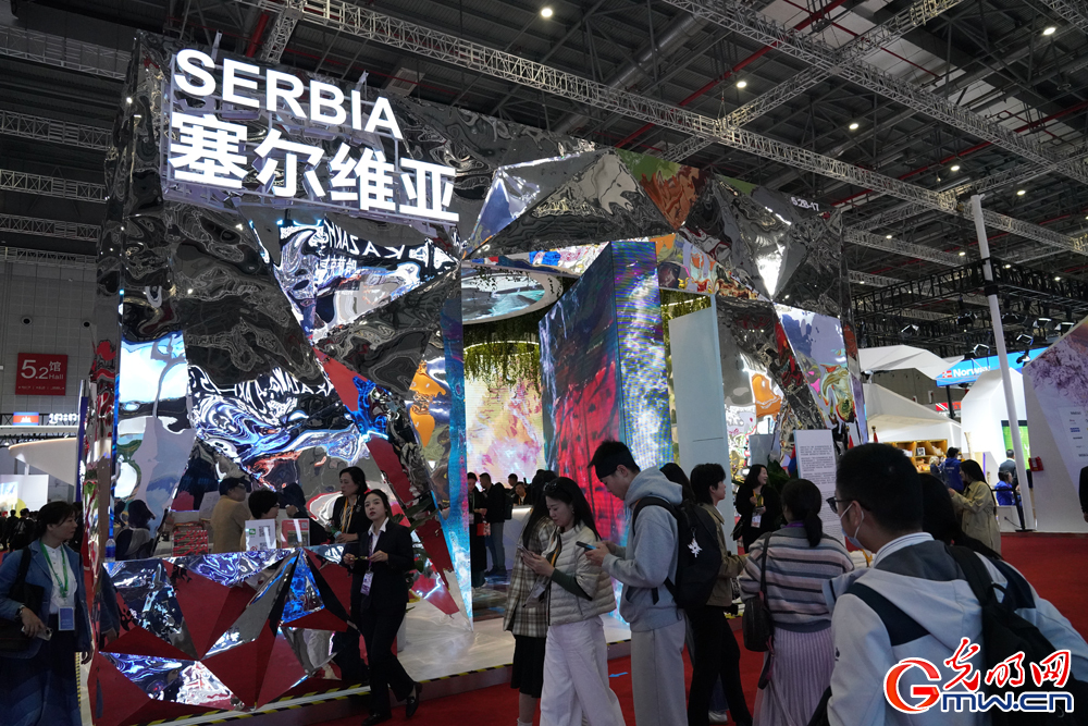 Country exhibition area attracts visitors' attention at 7th CIIE in E China's Shanghai