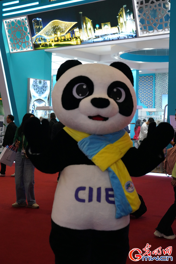 Country exhibition area attracts visitors' attention at 7th CIIE in E China's Shanghai