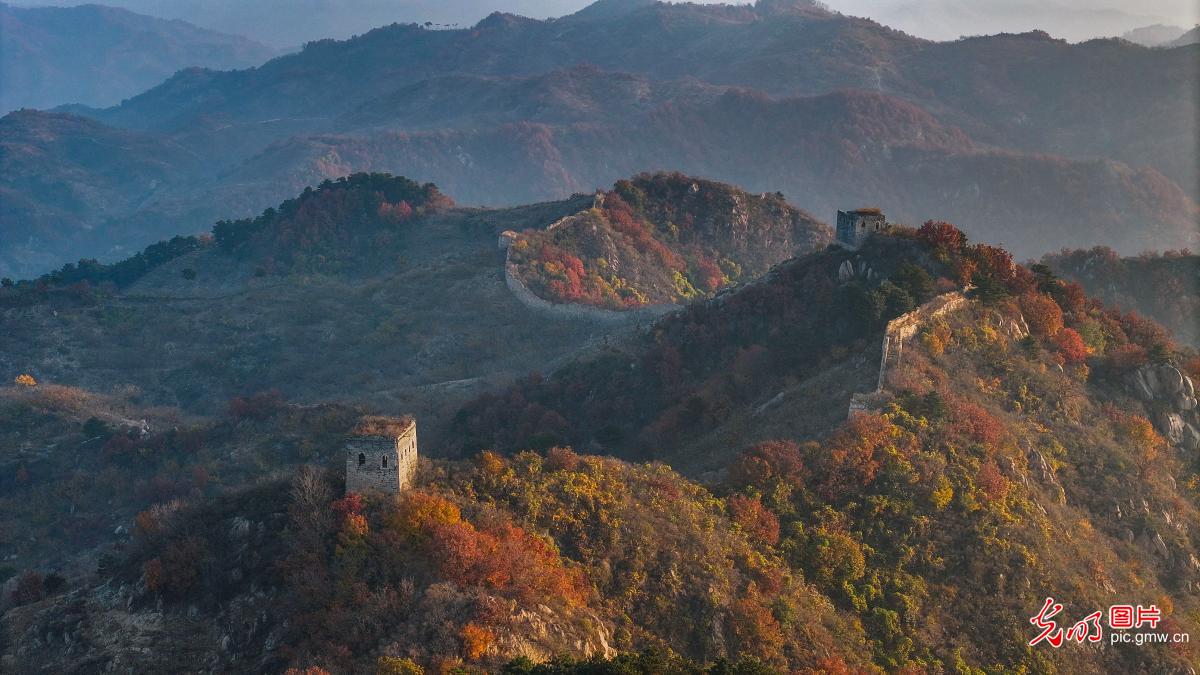 Beautiful autumn scenery of Great Wall in Hebei