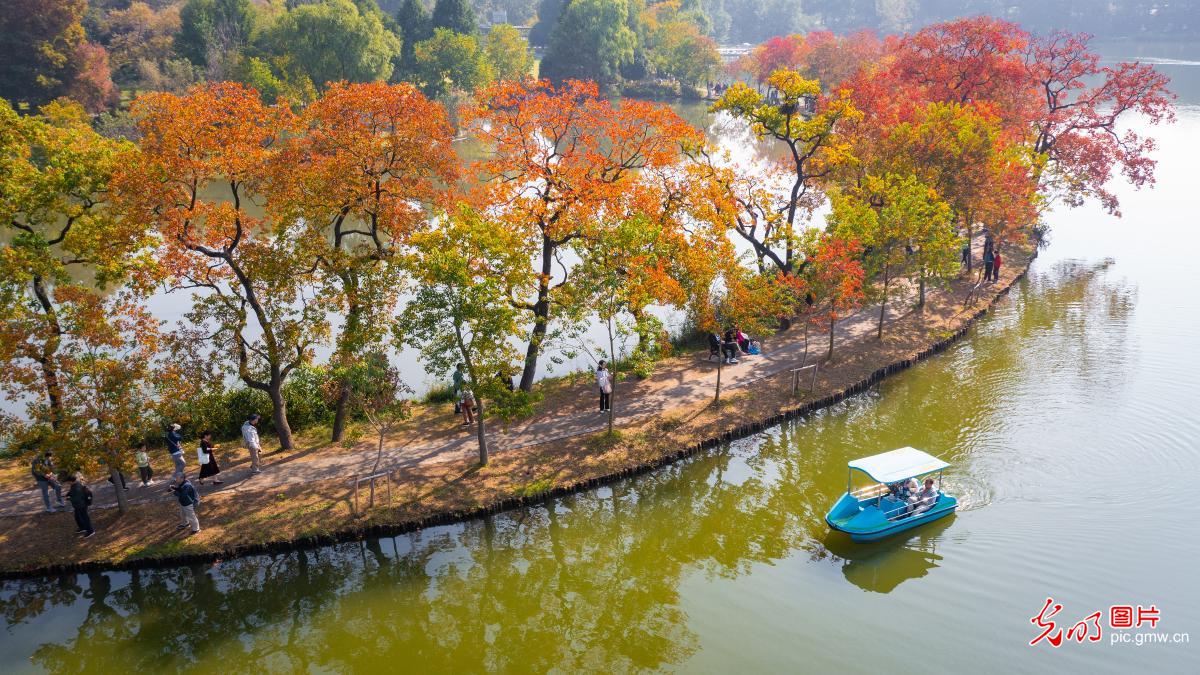 Colorful autumn in E China’s Nanjing