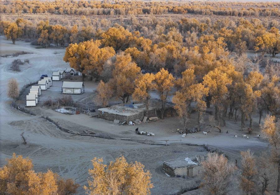 InPics: Relocated villagers in NW China's Xinjiang embrace better life