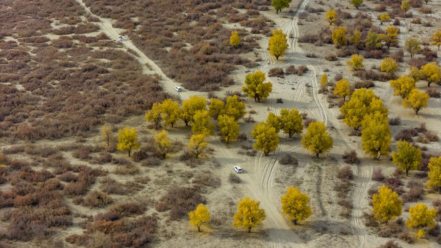 InPics: Relocated villagers in NW China's Xinjiang embrace better life