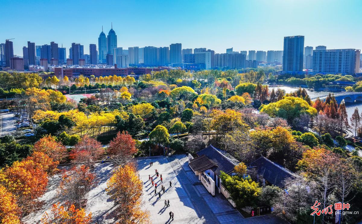 Scenery of colorful winter forest in east China