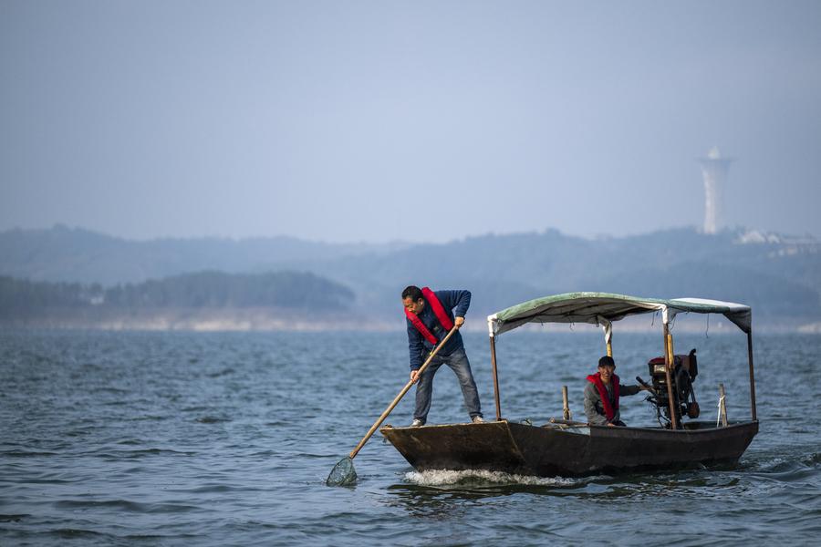 China's South-to-North Water Diversion Project marks 10th anniversary of its operation