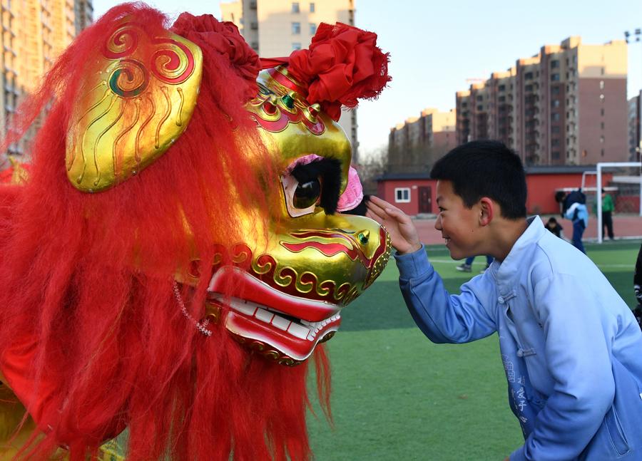 Traditional art of Cangxian lion dance well passed on with local support