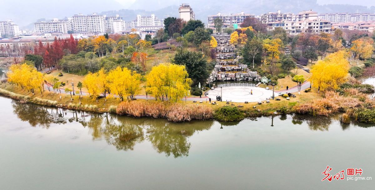 Wetland park dressed in color