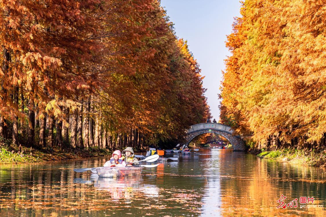 Picturesque winter scenery at Suzhou Huqiu Wetland Park