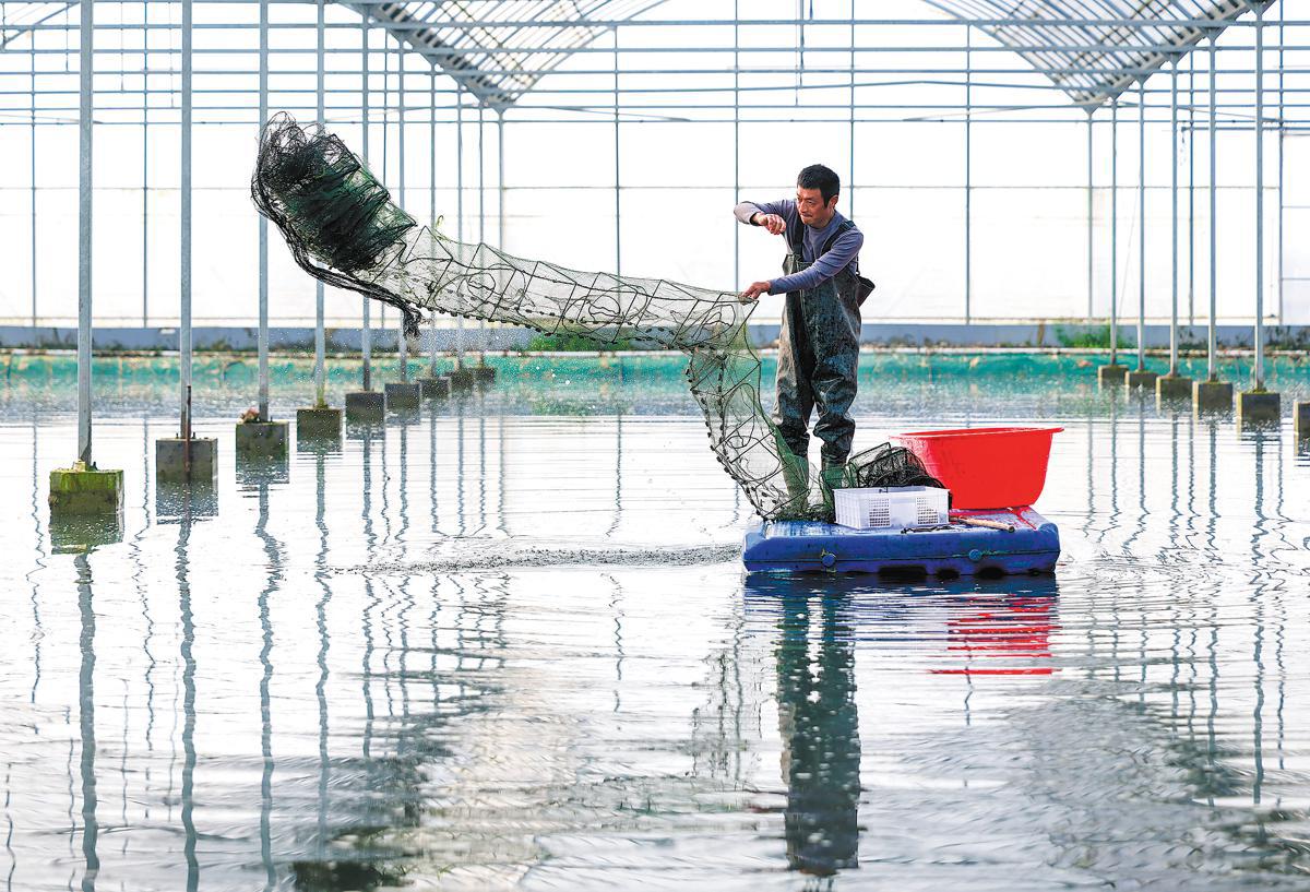 Crayfish drive rural vitalization