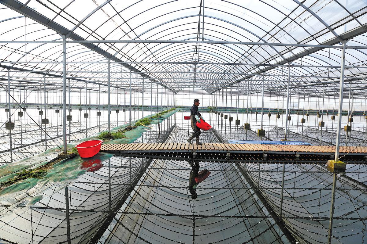 Crayfish drive rural vitalization