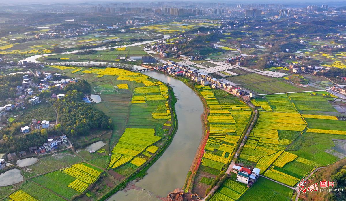 Spring paints a riverside canvas in C China's Hunan