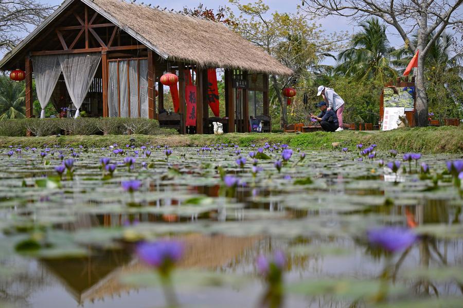 Spring tourism reflects the economy vitality across China