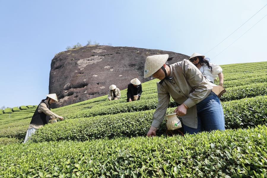 Spring tourism reflects the economy vitality across China