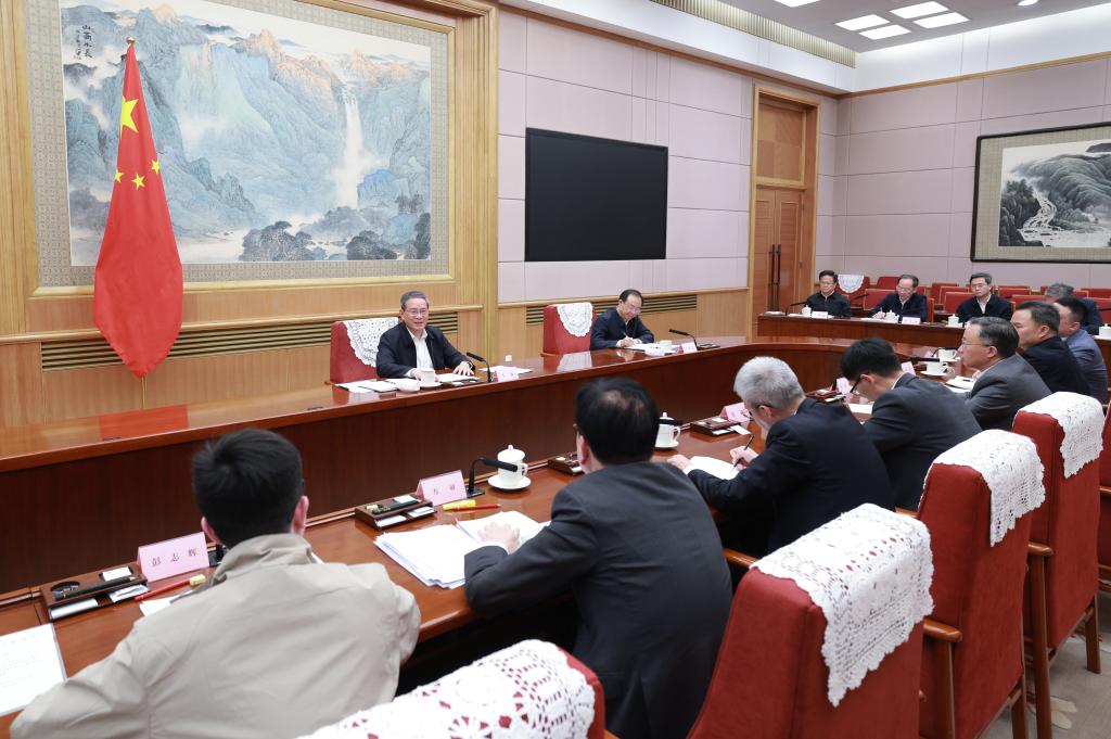 Chinese premier chairs meeting with economic experts, entrepreneurs