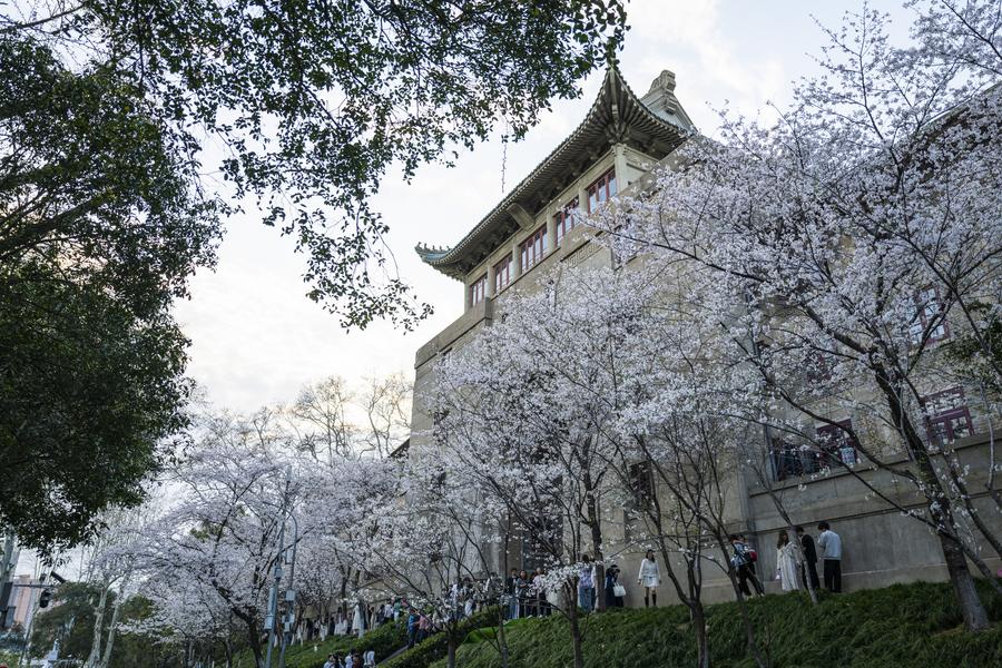 China taps big data to close graduate job gap