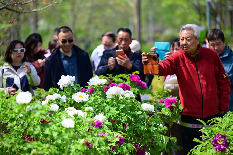 Spring is here, China's tourism economy in full bloom