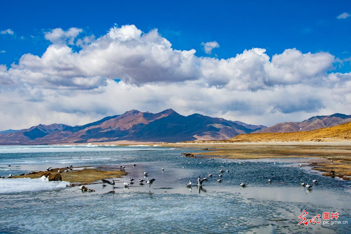 Stunning scenery of Lake Manasarovar