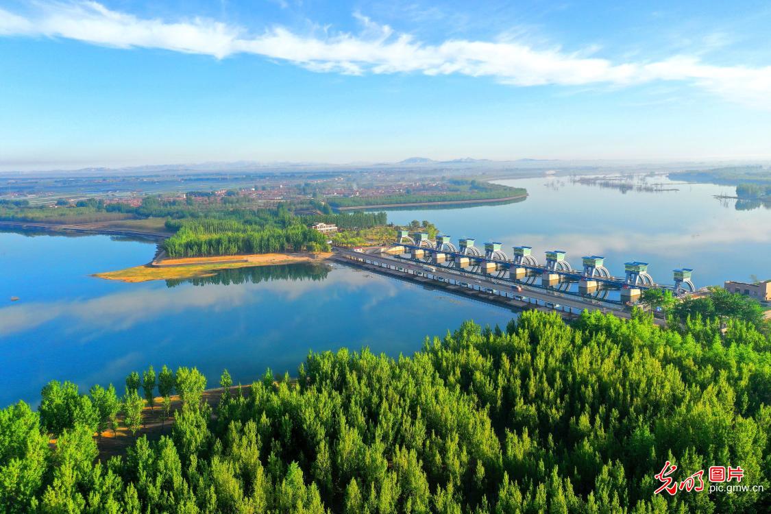 Dagu River paints spring scenery in E China's Shandong